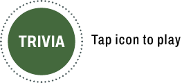 Trvia open