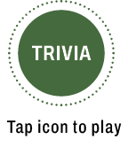 Trvia open