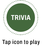 Trvia open