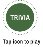 Trvia open
